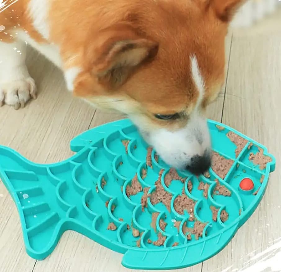 Close-up of a dog licking the Soothe Mat