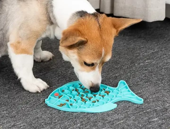 A dog resting calmly with the Soothe Mat at home